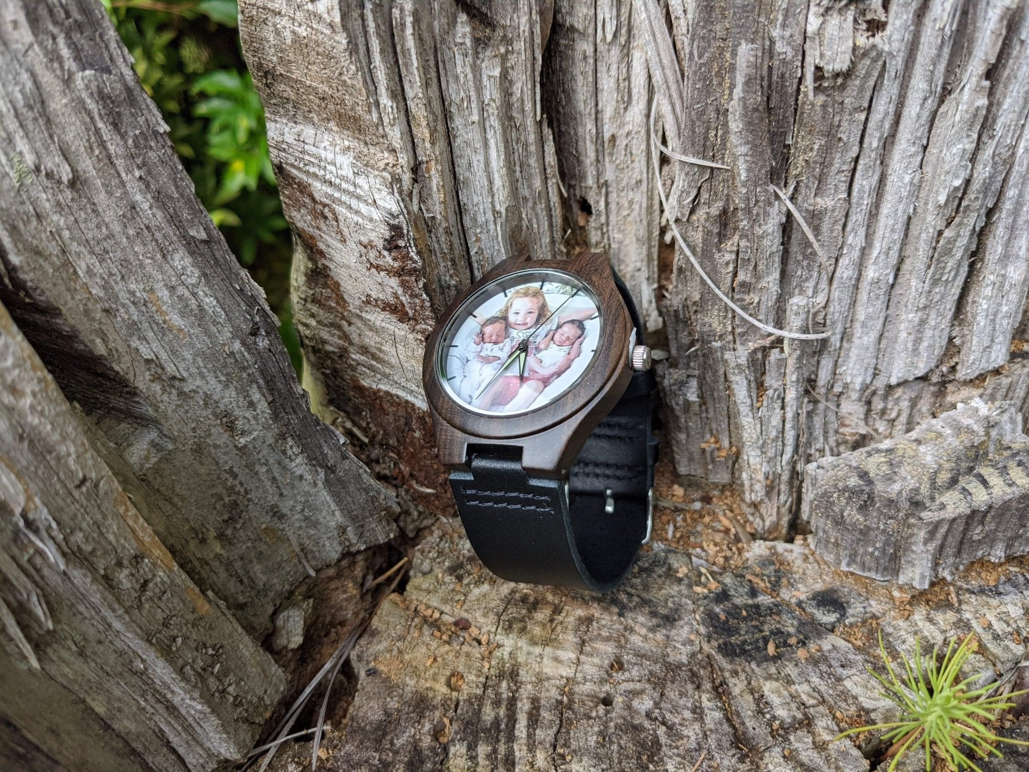 G shock wood watch online